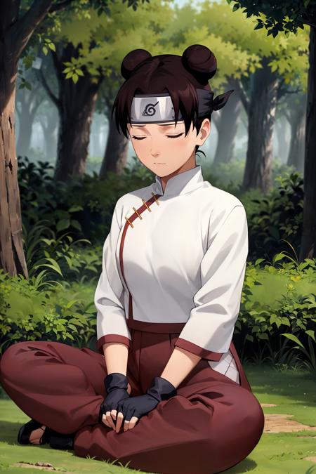 02340-1849520524.0-absurdres, (best quality), (masterpiece),tenten_(shippuden_), 1girl, solo,mature female,  forehead protector,closed eyes,  finge.png